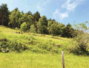 Un des sites des travaux de réouverture du milieu 