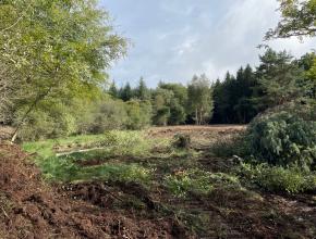 vue la fin des travaux de restauration