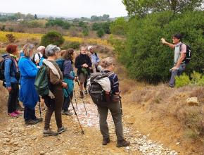 Sortie nature du programme Ensemble 2022 à Saint André de Roquelongue dans l'Aude, au coeur d'un espace naturel sensible.