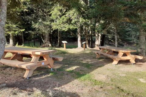 Deux tables de pique-nique à l'aire d'accueil forêt départementale Bac Pégullier