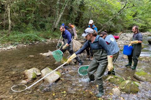 Mobilisation d'une trentaine de salariés de la Fédération de l'Aude pour la pêche et la protection des milieux aquatiques et de bénévoles pour mener un inventaire piscicole à la recherche du Chabot commun.