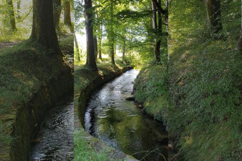 Cours d'eau de la Rigole du canal du Midi