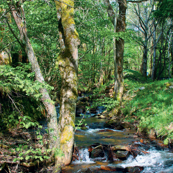 Cascade de Cubserviès, dans le Haut-Cabardès en Montagne Noire