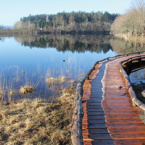 Tourbière de Laprade