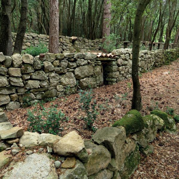 Le mur à abeilles Enricocangini
