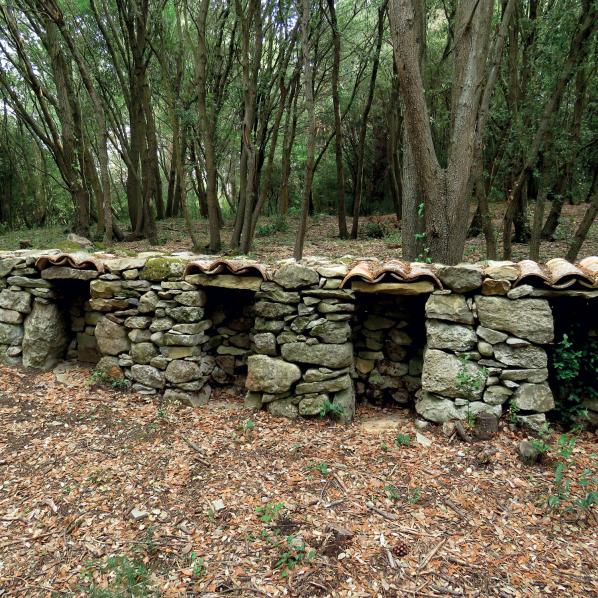 Le mur à abeilles Enricocangini