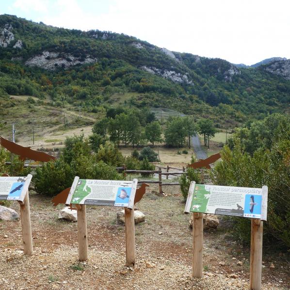 OBSERVATOIRE DES VAUTOURS - MERVEILLE ENS