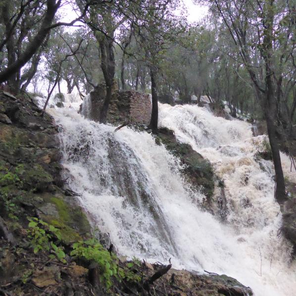 La cascade bassin eneau de l'espace naturel sensible Saint Rome