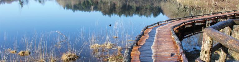 Tourbière de Laprade