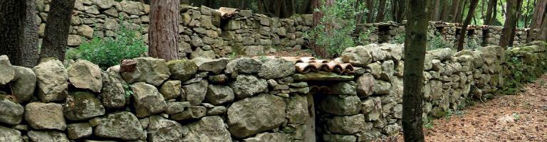 Le mur à abeilles Enricocangini