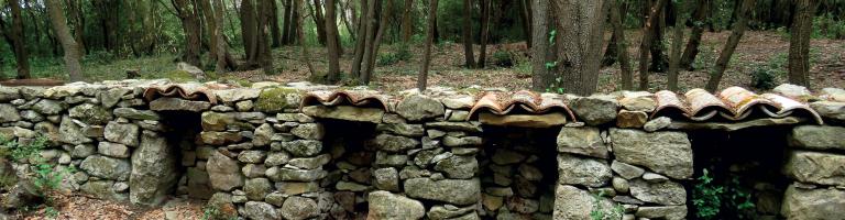 Le mur à abeilles Enricocangini