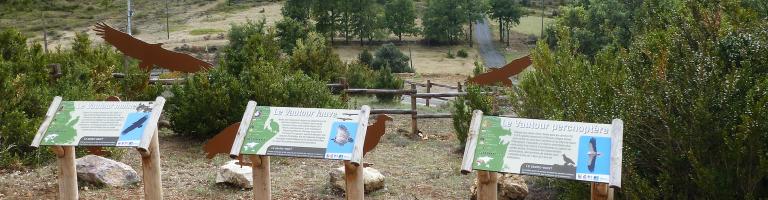 OBSERVATOIRE DES VAUTOURS - MERVEILLE ENS