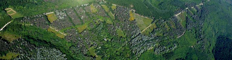 VUE AERIENNE MONTAGNE NOIRE ENS