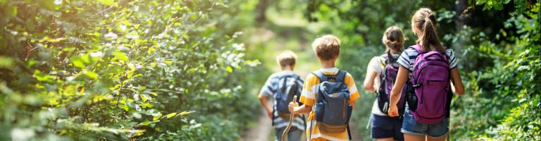 BALADE EN FORET - ENS AUDE