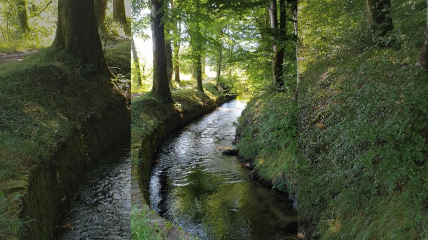 Cours d'eau de la Rigole du canal du Midi