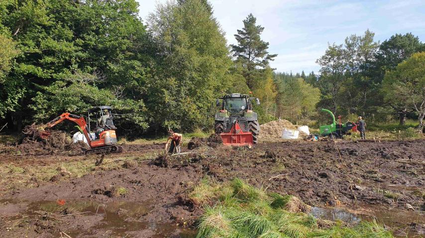 chantier de restauration de la tourbière des Moussels