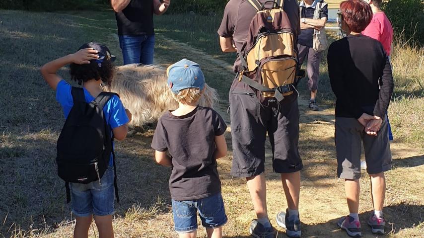Sortie nature du programme Ensemble 2022 à Saint Amans dans l'Aude au sein d'un espace naturel sensible.