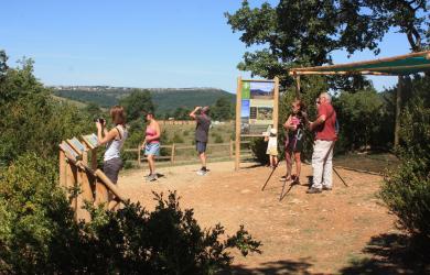 observatoire des vautours bugarach ens