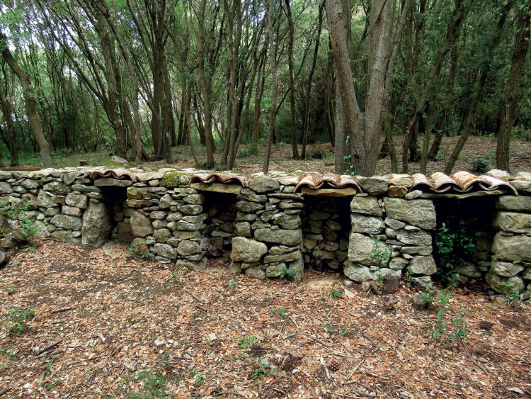 Mur à abeilles Enricocangini