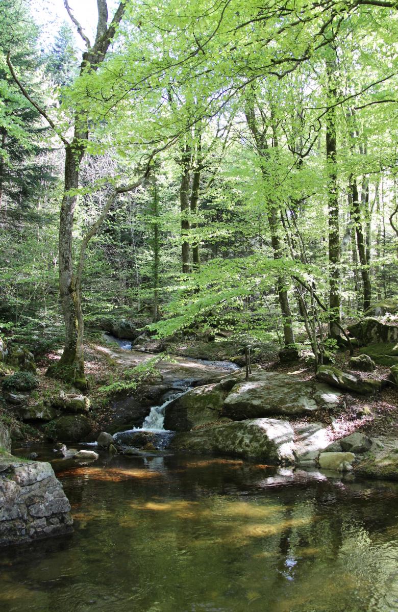 LA VERNASSONNE MERVEILLE ENS LA ROUGE