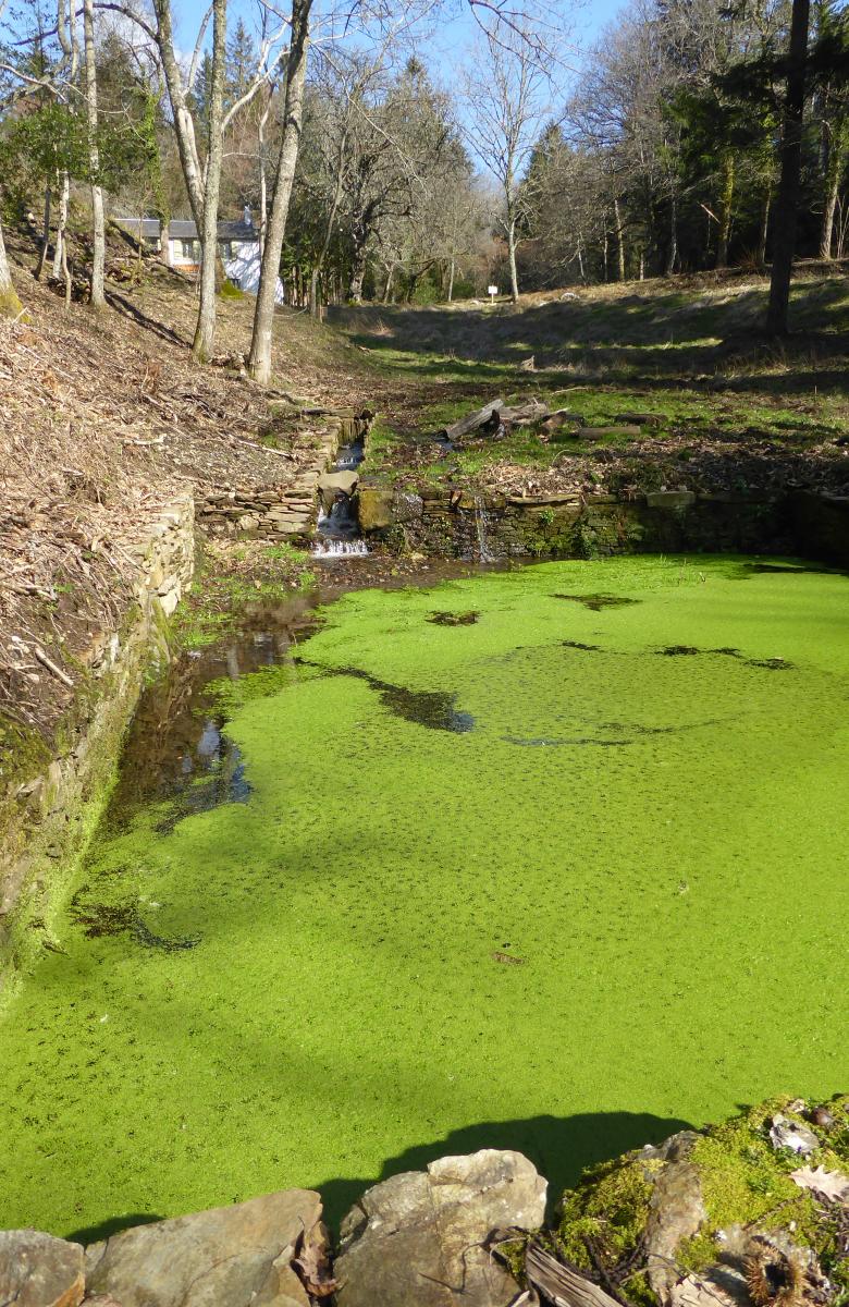 montagne noire - ens 3