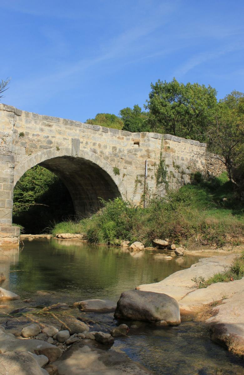 BALADE LA FORET DES PLOS