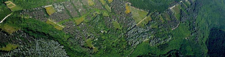 VUE AERIENNE MONTAGNE NOIRE ENS