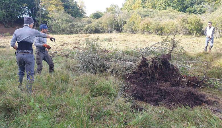 Restauration d'une tourbière en Montagne Noire.