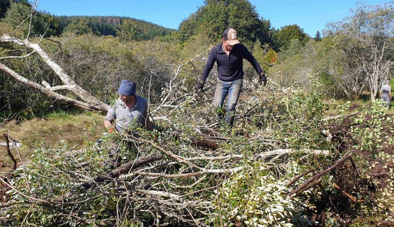 Restauration d'une tourbière en Montagne Noire.