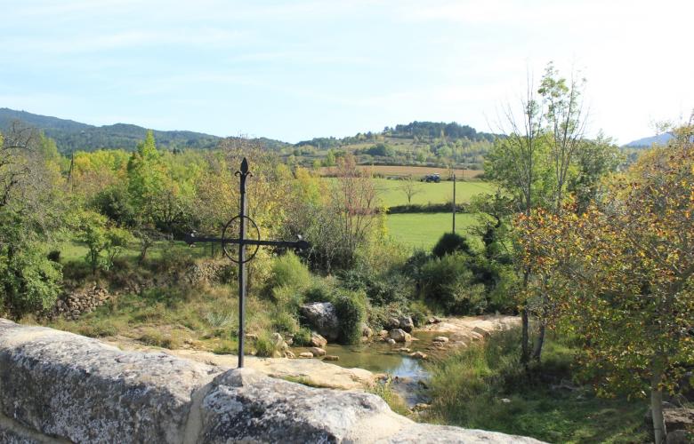 foret des plos - ens