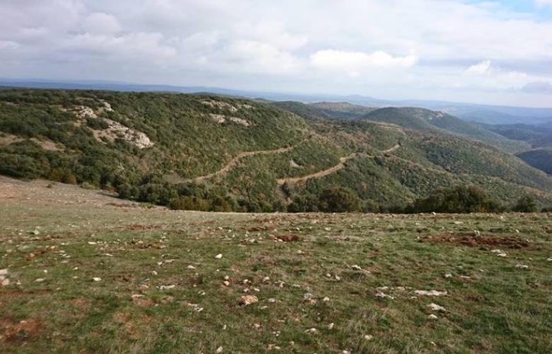 Le fer oublié du plateau de Lacamp