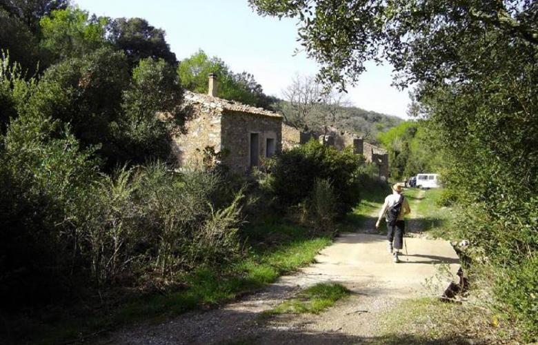 Chemin du fer oublié